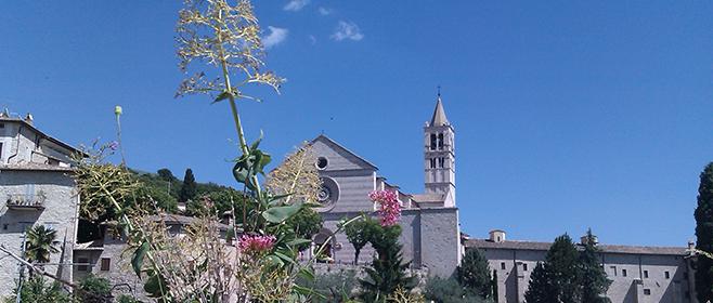 Assisi, Header
